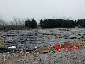 環保督查半年后回訪江蘇如皋污染地塊 土壤修復施工在即