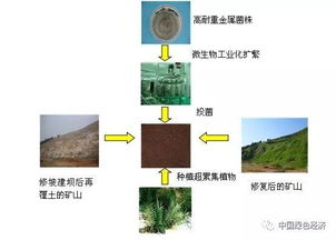 土壤修復 保護大地之基的長征