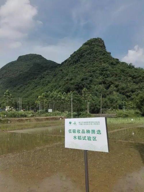 從理論到實踐 第六期農(nóng)田及礦山周邊重金屬污染土壤治理修復技術與方案編制培訓圓滿落幕